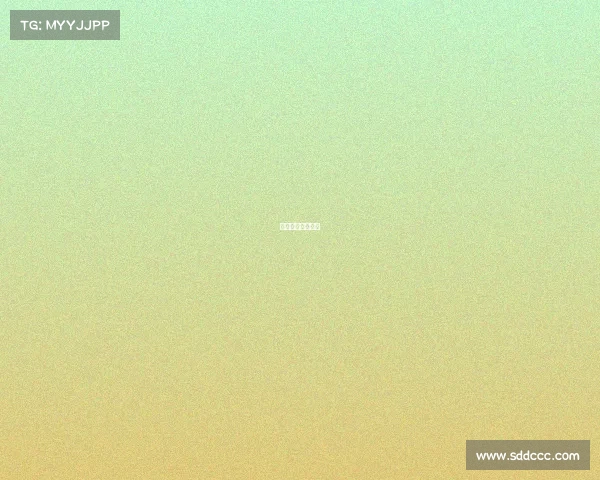 保定散打赛事名单